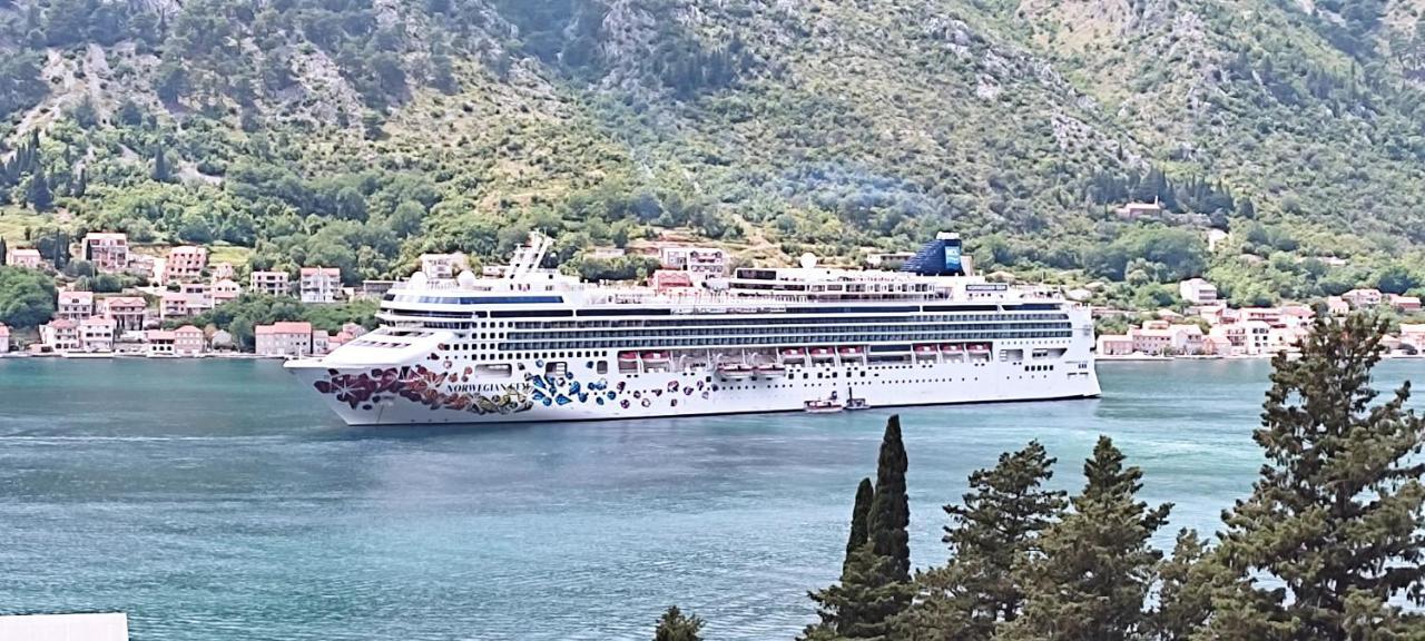 Apartments Peranovic Kotor Zewnętrze zdjęcie